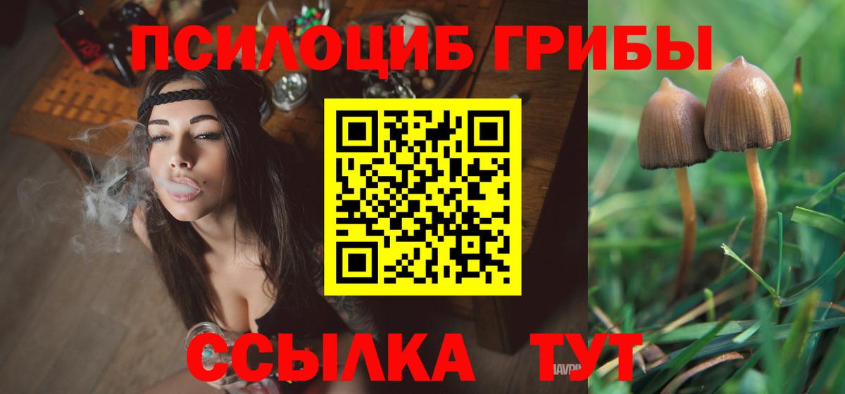 Галлюциногенные грибы прущие грибы  Псилоцибиновые грибы Psilocybe  Вход с VPN  Гусиноозёрск 